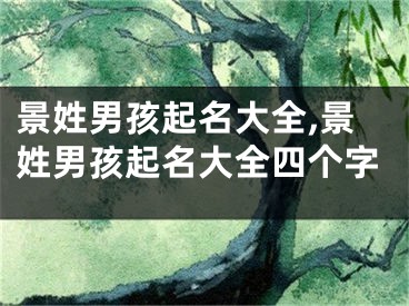 景姓男孩起名大全,景姓男孩起名大全四个字