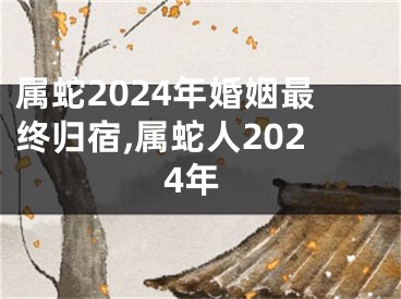 属蛇2024年婚姻最终归宿,属蛇人2024年
