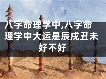 八字命理学中,八字命理学中大运是辰戌丑未好不好
