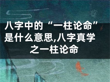 八字中的“一柱论命”是什么意思,八字真学之一柱论命