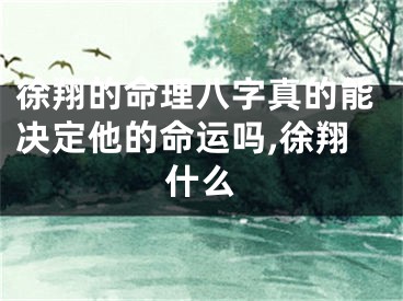 徐翔的命理八字真的能决定他的命运吗,徐翔什么