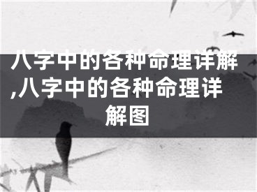 八字中的各种命理详解,八字中的各种命理详解图