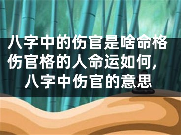 八字中的伤官是啥命格伤官格的人命运如何,八字中伤官的意思
