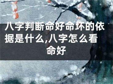 八字判断命好命坏的依据是什么,八字怎么看命好