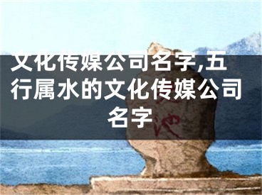 文化传媒公司名字,五行属水的文化传媒公司名字