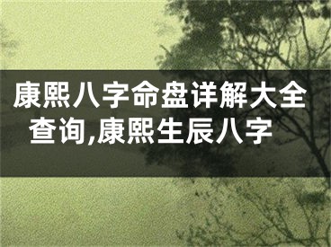 康熙八字命盘详解大全查询,康熙生辰八字