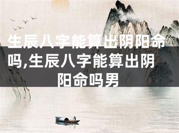 生辰八字能算出阴阳命吗,生辰八字能算出阴阳命吗男
