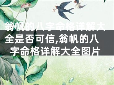 翁帆的八字命格详解大全是否可信,翁帆的八字命格详解大全图片