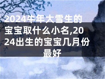 2024牛年大雪生的宝宝取什么小名,2024出生的宝宝几月份最好