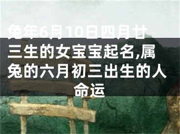 兔年6月10日四月廿三生的女宝宝起名,属兔的六月初三出生的人命运