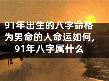 91年出生的八字命格为男命的人命运如何,91年八字属什么