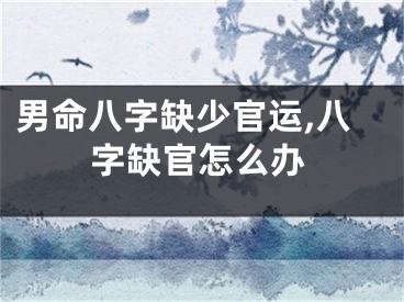 男命八字缺少官运,八字缺官怎么办