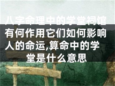 八字命理中的学堂祠馆有何作用它们如何影响人的命运,算命中的学堂是什么意思