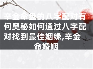 辛金命盘的八字配对有何奥秘如何通过八字配对找到最佳姻缘,辛金命婚姻
