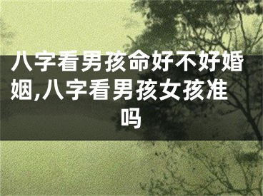 八字看男孩命好不好婚姻,八字看男孩女孩准吗
