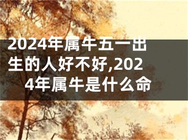 2024年属牛五一出生的人好不好,2024年属牛是什么命