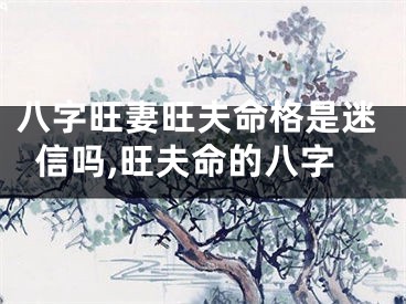 八字旺妻旺夫命格是迷信吗,旺夫命的八字