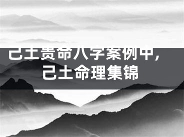 己土贵命八字案例中,己土命理集锦