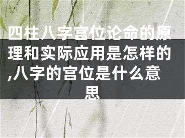 四柱八字宫位论命的原理和实际应用是怎样的,八字的宫位是什么意思