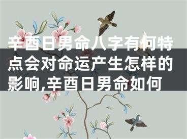 辛酉日男命八字有何特点会对命运产生怎样的影响,辛酉日男命如何