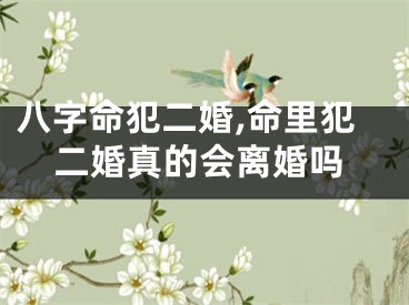 八字命犯二婚,命里犯二婚真的会离婚吗