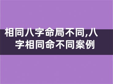 相同八字命局不同,八字相同命不同案例