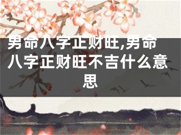 男命八字正财旺,男命八字正财旺不吉什么意思