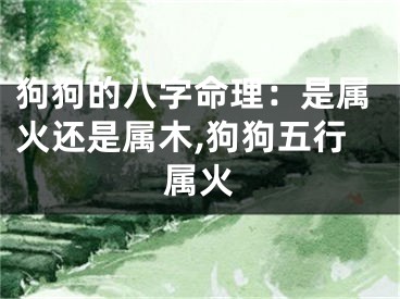 狗狗的八字命理：是属火还是属木,狗狗五行属火