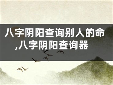 八字阴阳查询别人的命,八字阴阳查询器