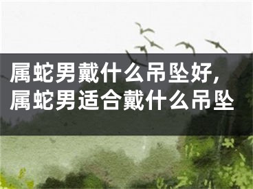 属蛇男戴什么吊坠好,属蛇男适合戴什么吊坠