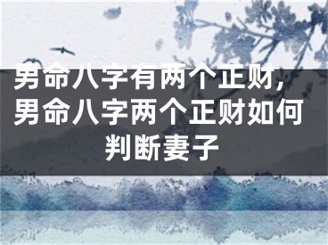男命八字有两个正财,男命八字两个正财如何判断妻子