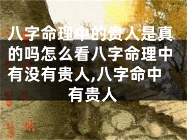 八字命理中的贵人是真的吗怎么看八字命理中有没有贵人,八字命中有贵人