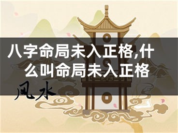 八字命局未入正格,什么叫命局未入正格