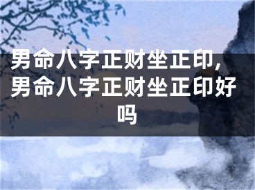 男命八字正财坐正印,男命八字正财坐正印好吗