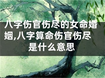 八字伤官伤尽的女命婚姻,八字算命伤官伤尽是什么意思