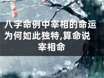 八字命例中宰相的命运为何如此独特,算命说宰相命