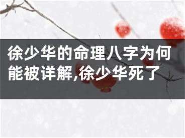 徐少华的命理八字为何能被详解,徐少华死了