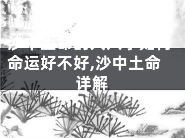 沙中土命的人八字如何命运好不好,沙中土命详解