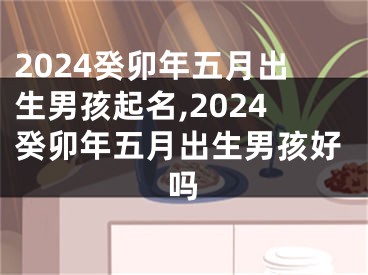 2024癸卯年五月出生男孩起名,2024癸卯年五月出生男孩好吗