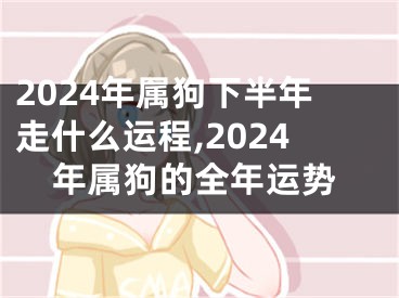 2024年属狗下半年走什么运程,2024年属狗的全年运势
