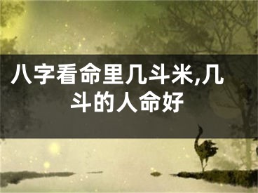 八字看命里几斗米,几斗的人命好