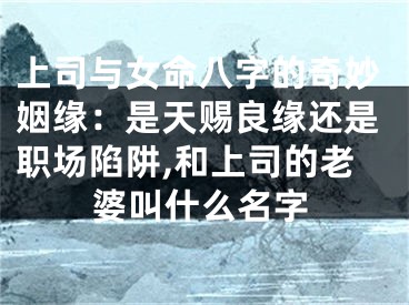 上司与女命八字的奇妙姻缘：是天赐良缘还是职场陷阱,和上司的老婆叫什么名字