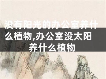 没有阳光的办公室养什么植物,办公室没太阳养什么植物