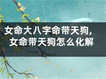 女命大八字命带天狗,女命带天狗怎么化解