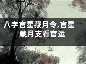 八字官星藏月令,官星藏月支看官运