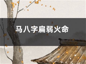马八字扁弱火命