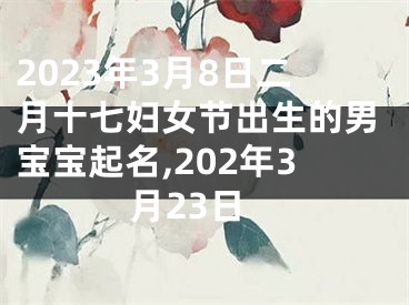 2023年3月8日二月十七妇女节出生的男宝宝起名,202年3月23日