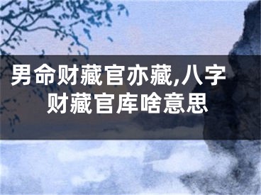 男命财藏官亦藏,八字财藏官库啥意思