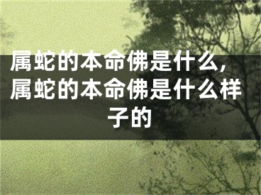 属蛇的本命佛是什么,属蛇的本命佛是什么样子的