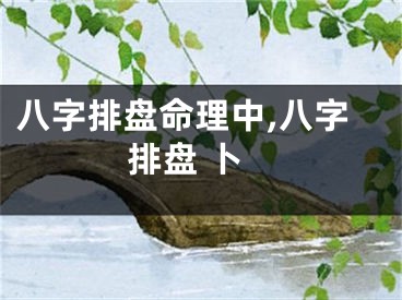 八字排盘命理中,八字排盘 卜